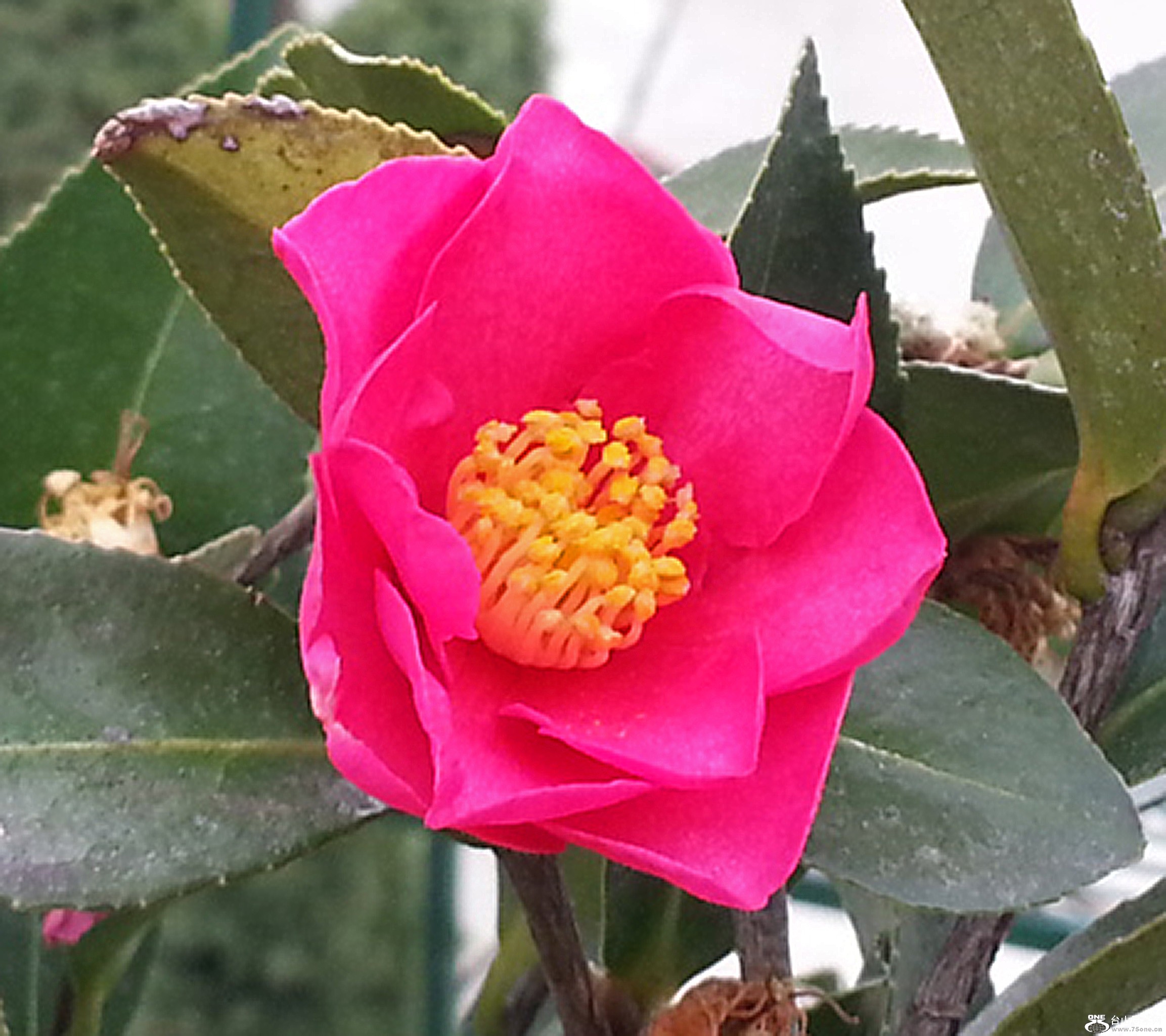 DSC_0072.jpg