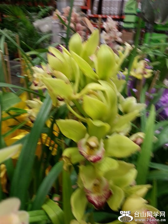 20130214_132902.jpg