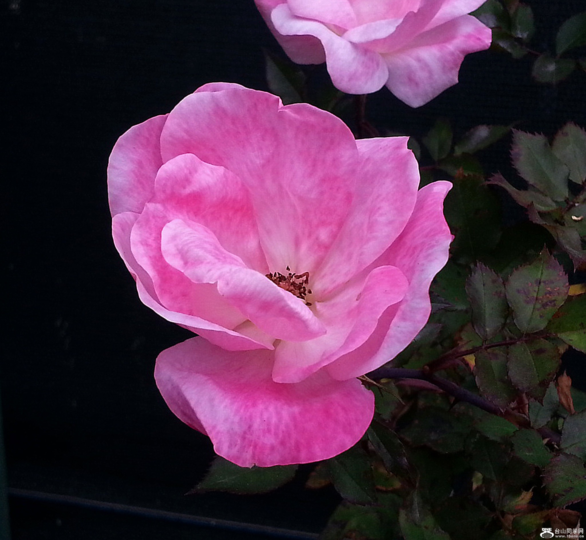 DSC_0073.jpg