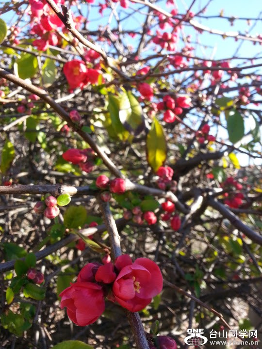 20130214_151436.jpg