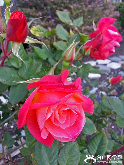 20130212_092540.jpg
