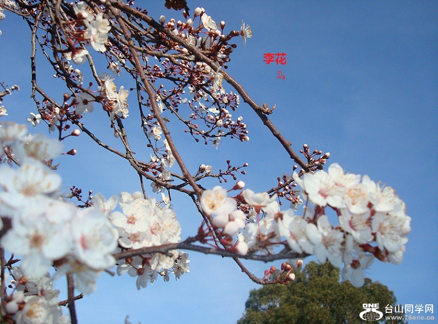 DSC06872-1.jpg