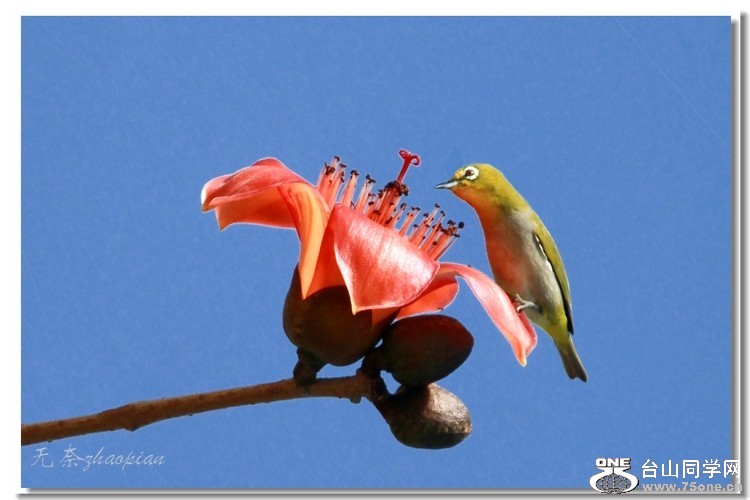 19_2978_17d3edae8211b74-copy.jpg