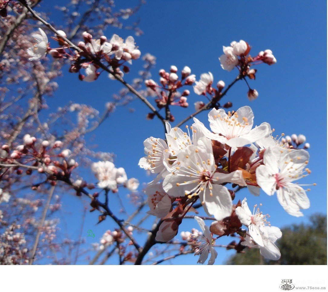 DSC04859-dz.jpg