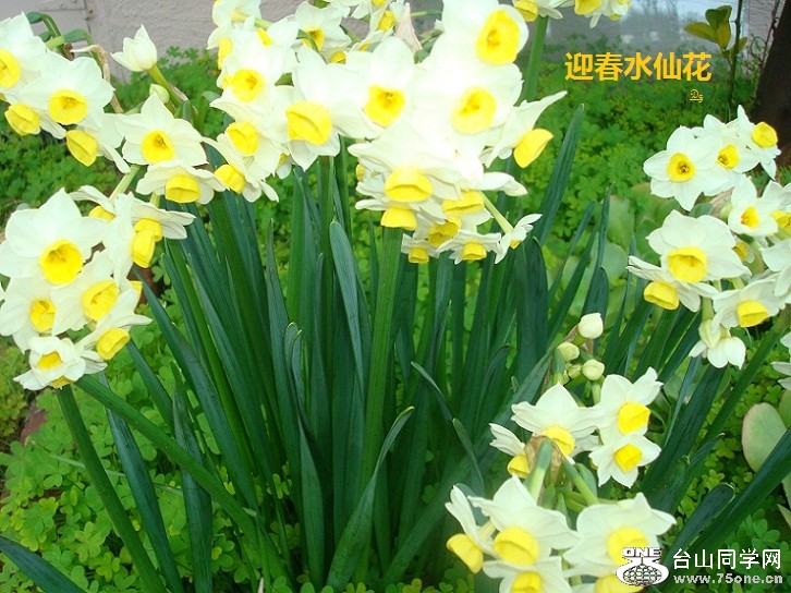 DSC07103a.jpg