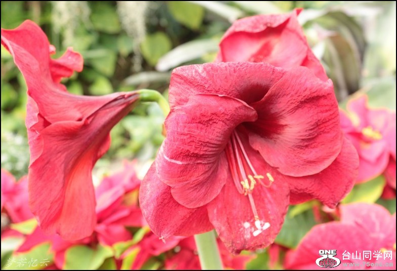 conew_Ƭ 158_conew1.jpg