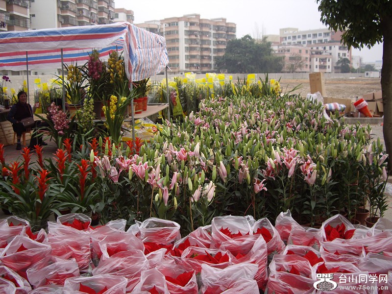 ڻ8.jpg