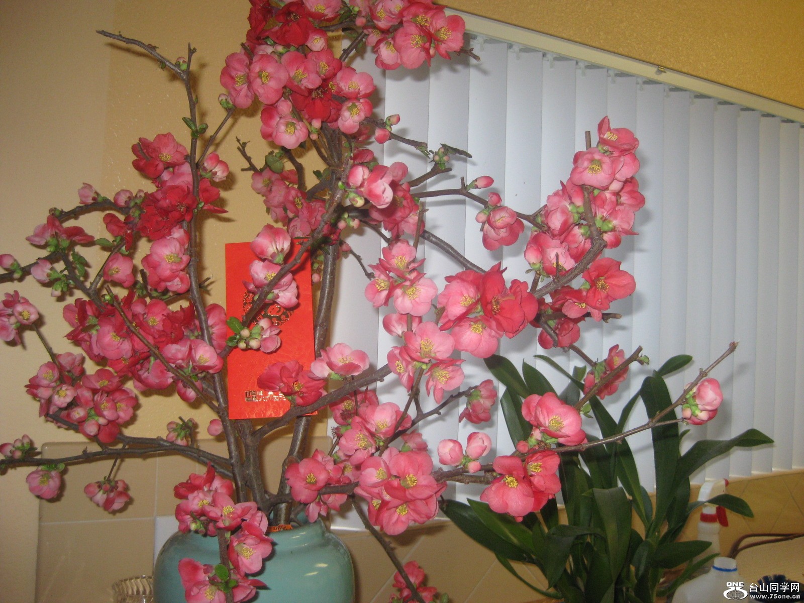 IMG_2673.JPG