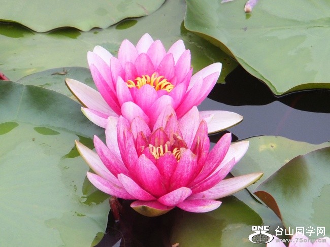 xpic5272.jpg