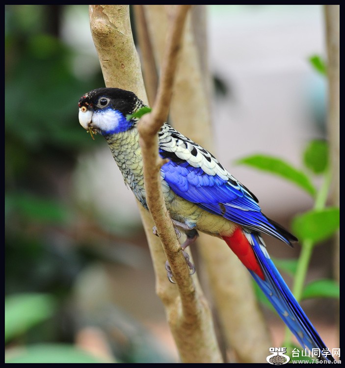 DSC_7431.jpg