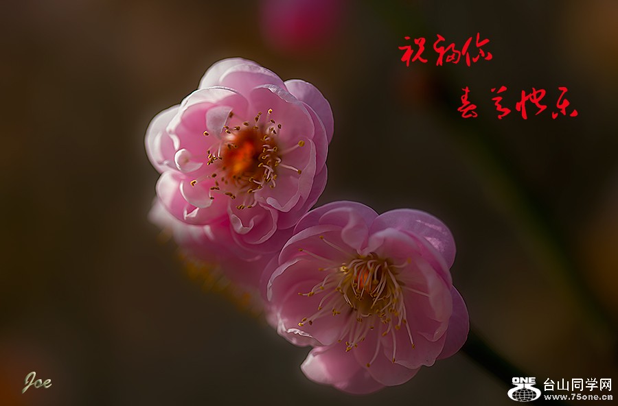 0E0A9828.jpg-6.jpg