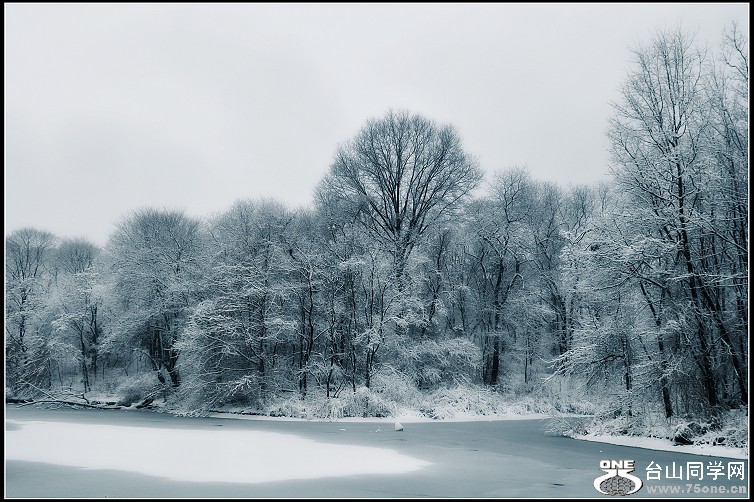 DSC_3410.JPG