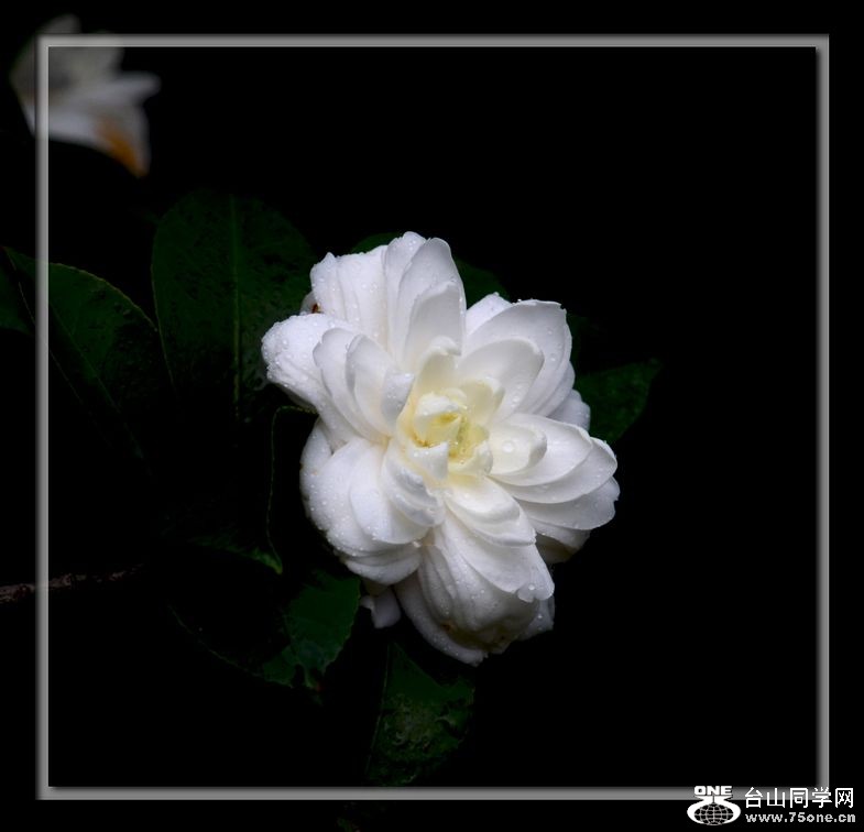DSC_4044.jpg