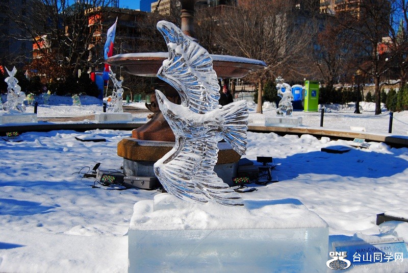 DSC_0131.jpg