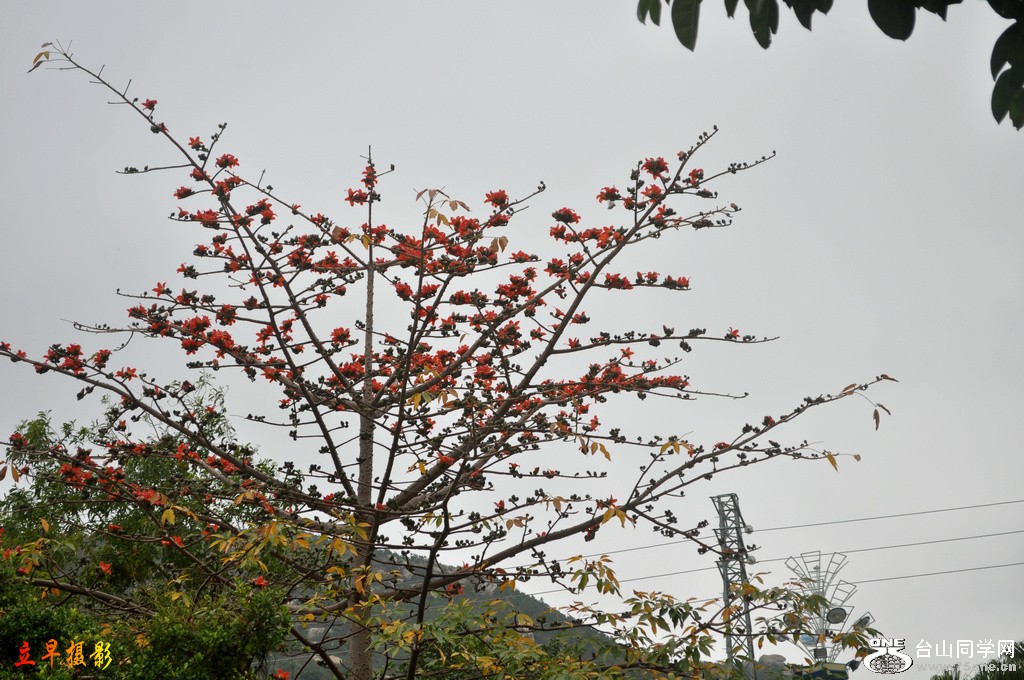 DSC_6424.JPG