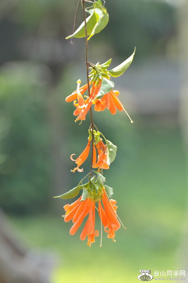 DSC_6563.JPG