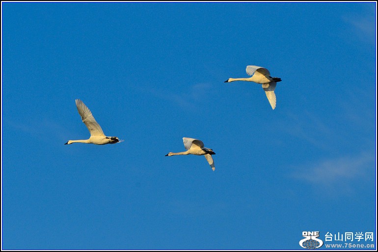 DSC_3834.jpg