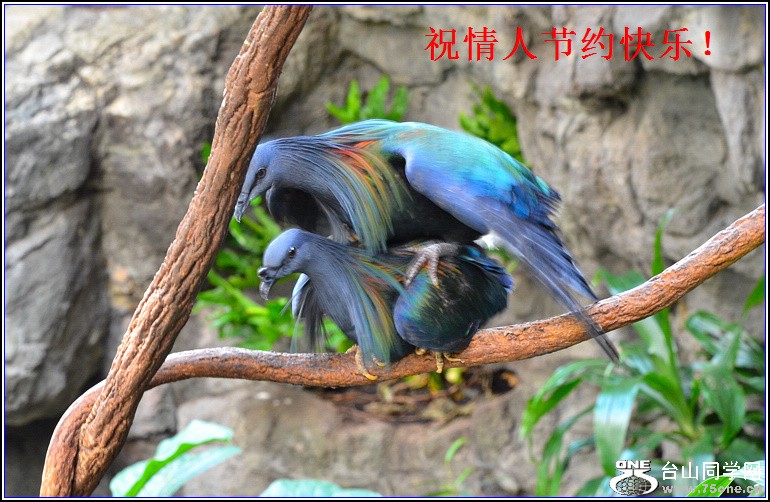 DSC_2829.jpg