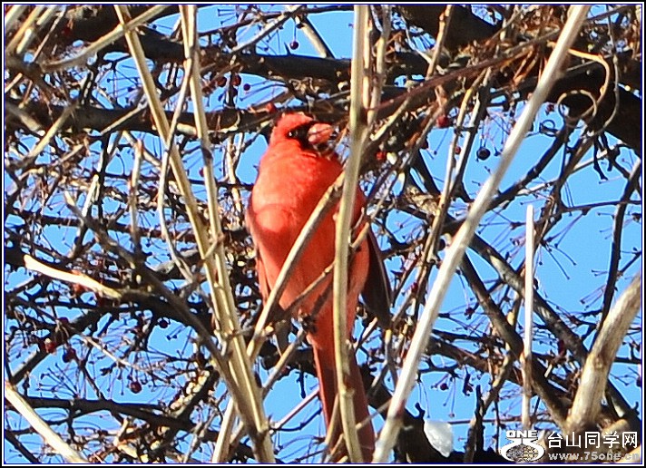 DSC_2551.jpg