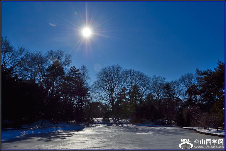 DSC_2490.jpg