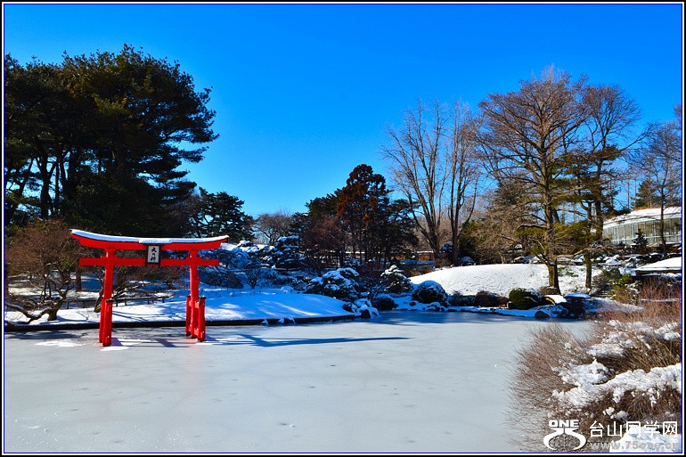 DSC_2489.jpg