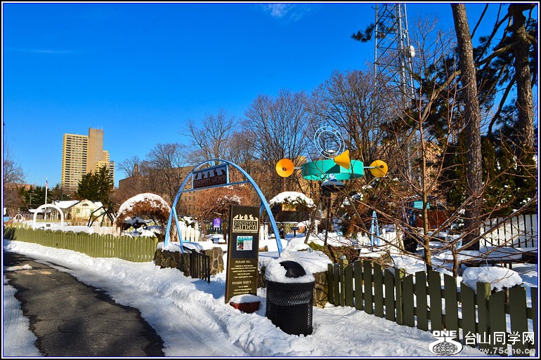 DSC_2438.jpg