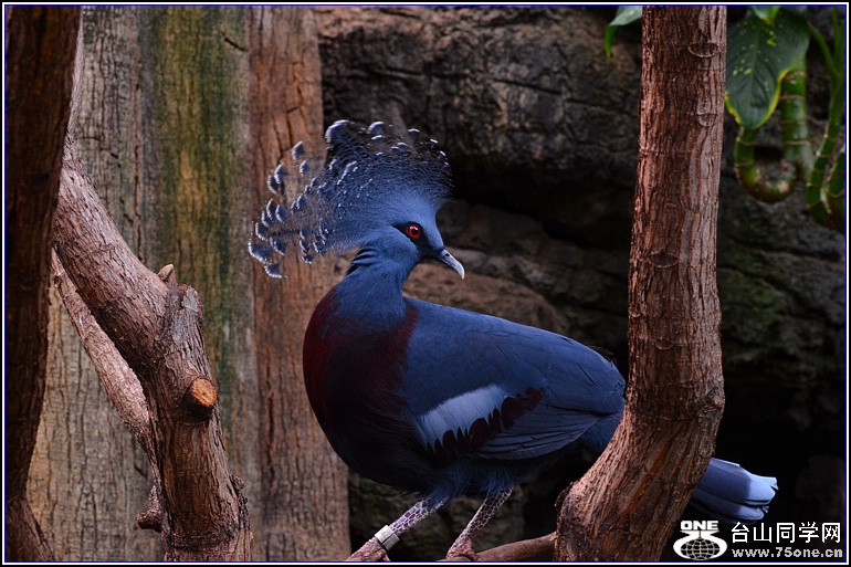 DSC_2941.jpg