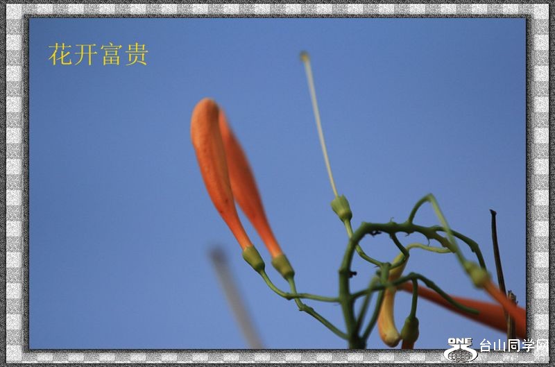 IMG_8973_.jpg
