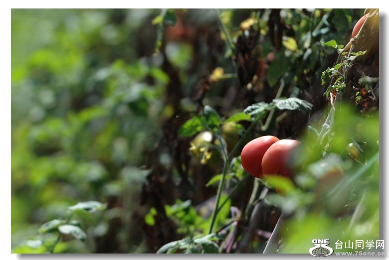 ����Ӣ������ 077.jpg