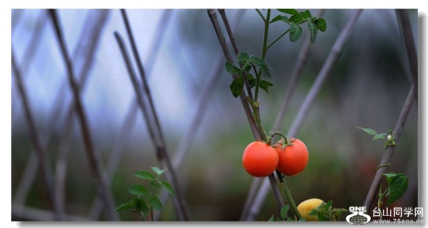 ����, 051.jpg