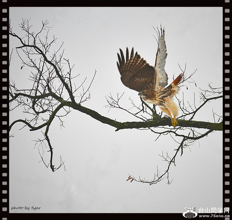 untitled3428aa_HZPsen.jpg