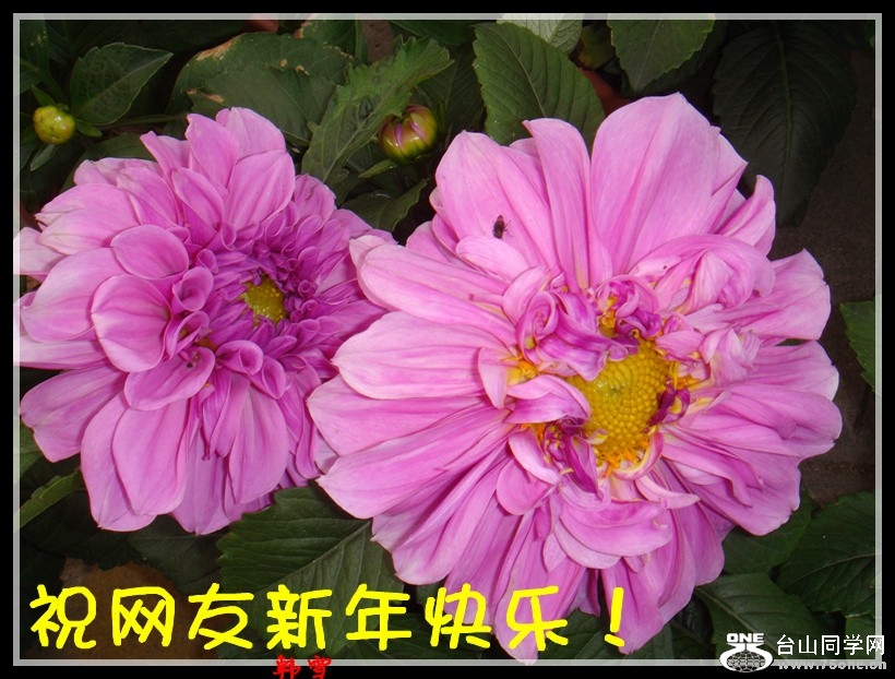 DSC00369_.jpg