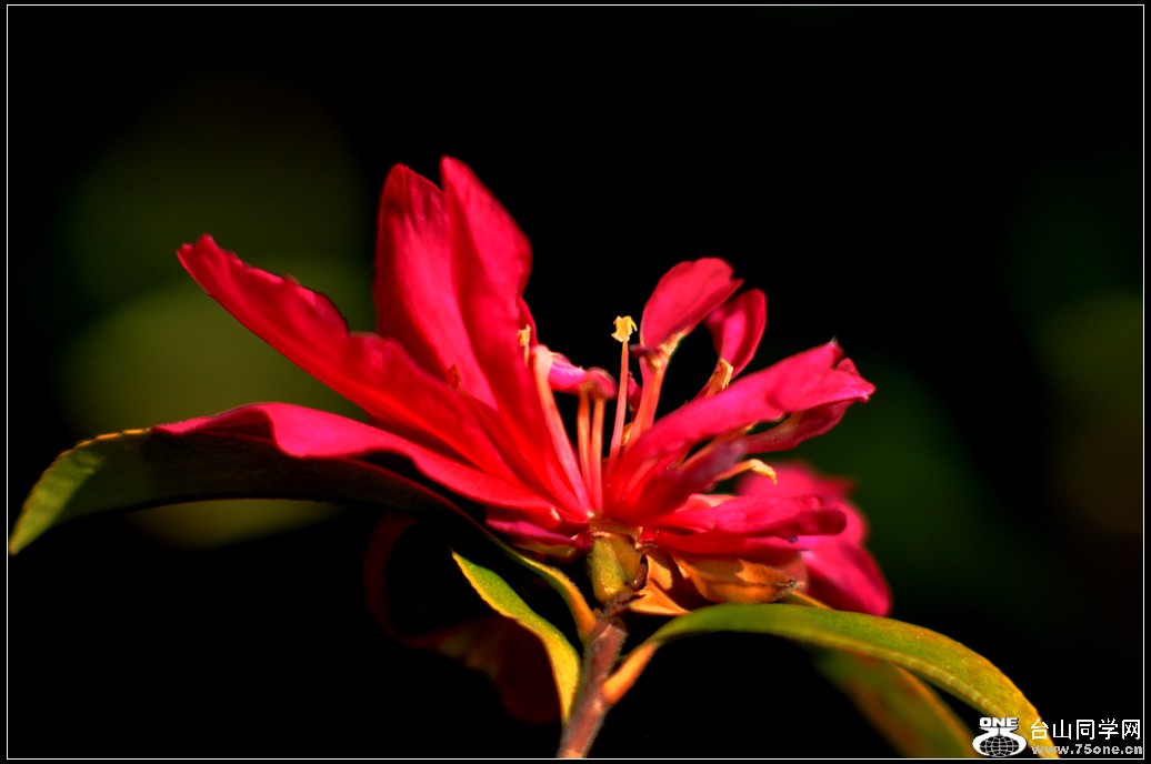 DSC_2358.jpg