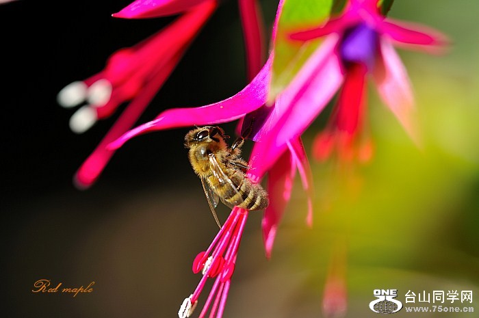 DSC_8502_01_����.jpg