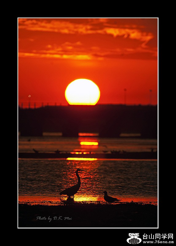 DSC_0124C.jpg