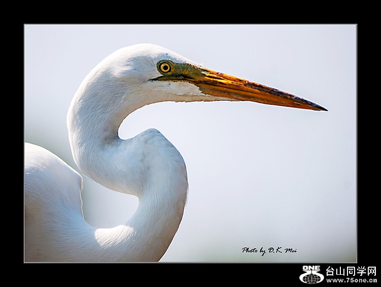 DSC_0250C.jpg