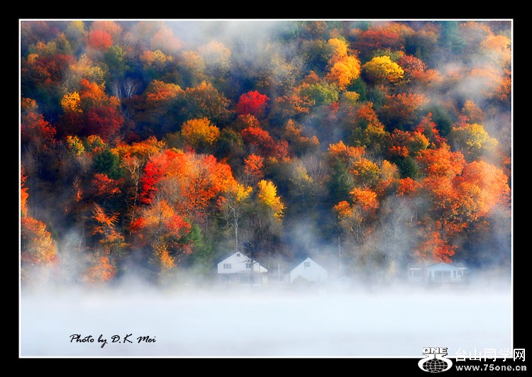 Misty Morning.jpg