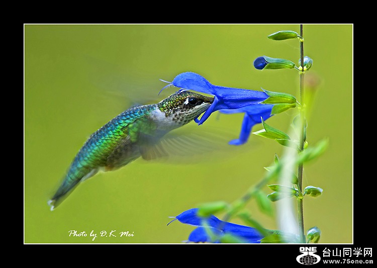 DSC_0001B1.jpg