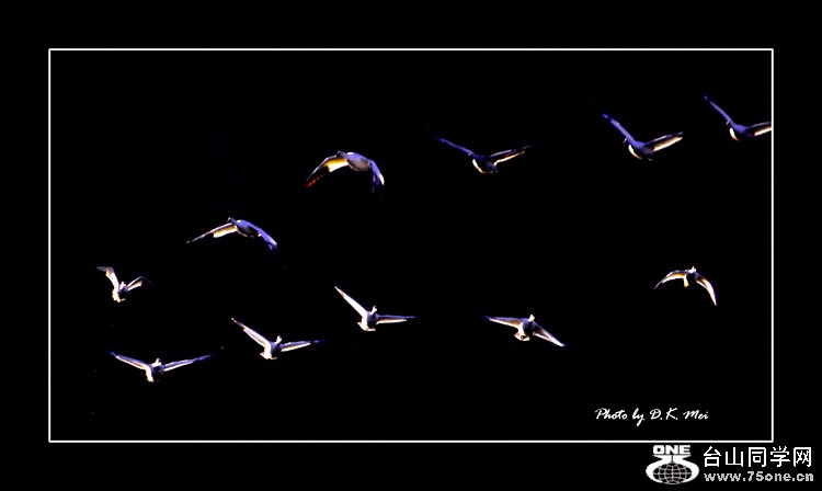 DSC_0531C.jpg