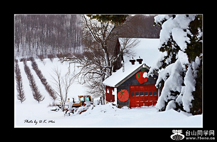 DSC_7207C.jpg