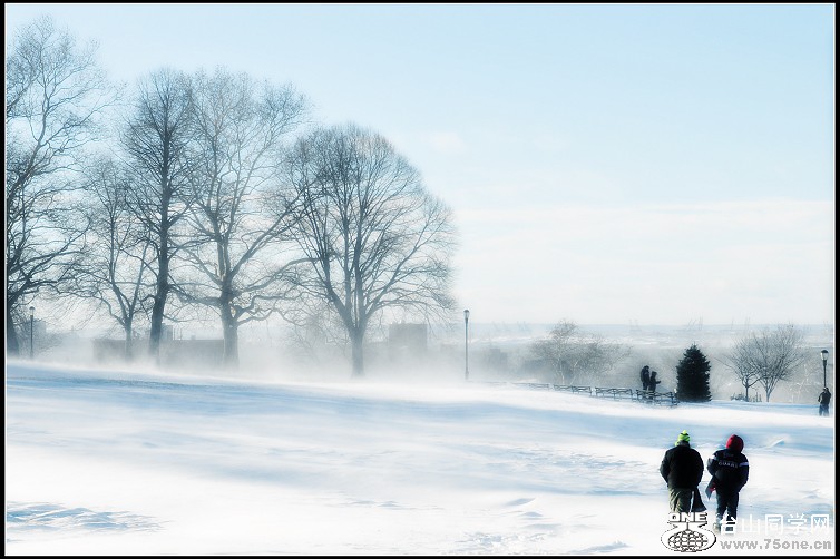 DSC_1342.JPG