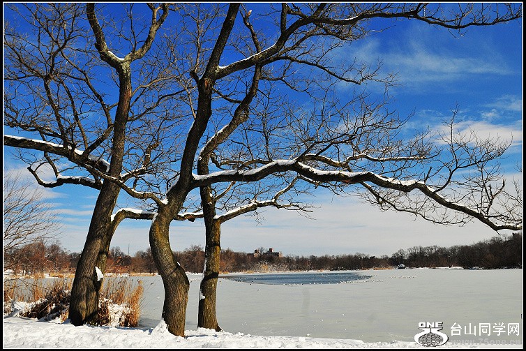 DSC_0208.JPG