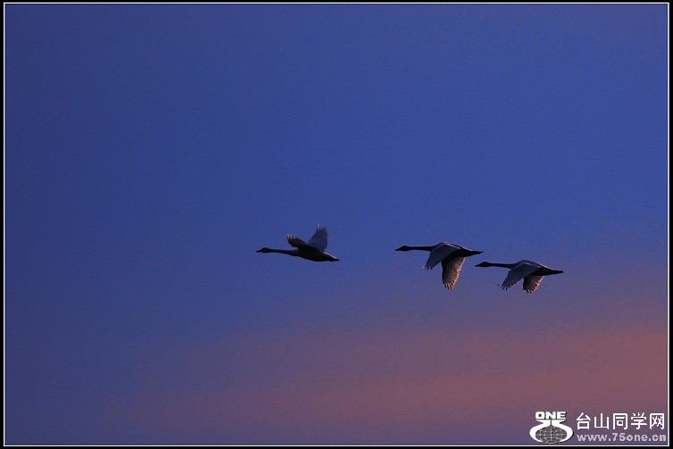 DSC_0390.JPG