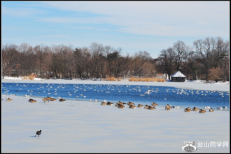 DSC_0877.JPG
