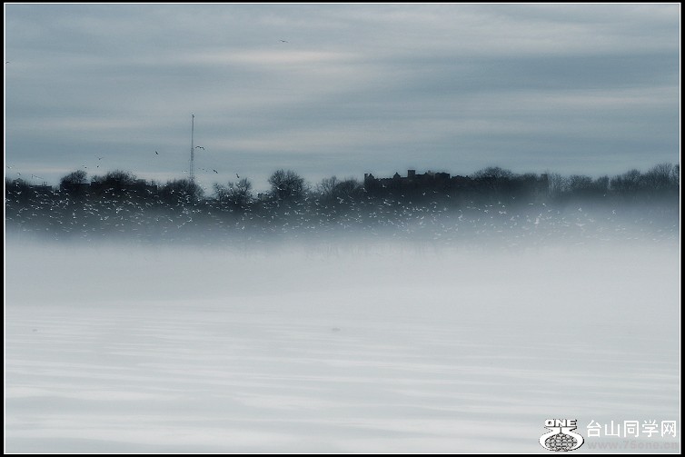 DSC_5527.JPG