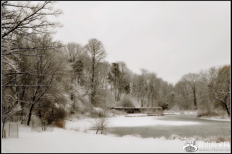 DSC_3183.JPG