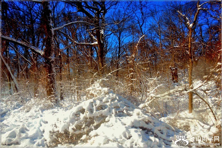 DSCN4345.jpg