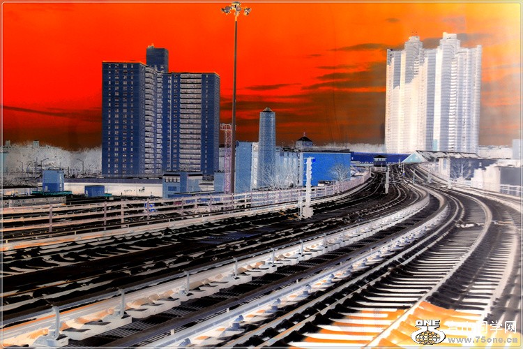 DSCN4315.jpg