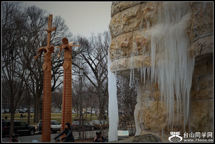 2013-2-2 Flowers 203_.jpg