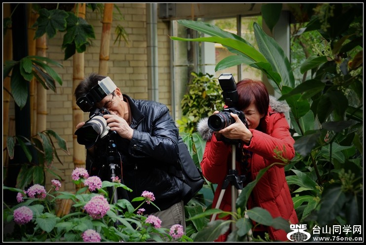 2013-2-2 Flowers 054_.jpg